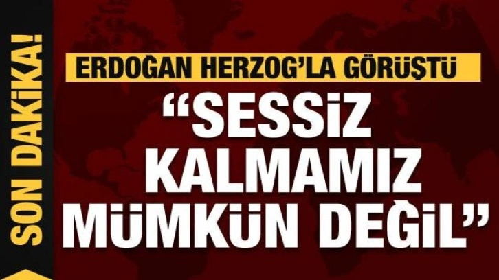 Cumhurbaşkanı Erdoğan İsrail Cumhurbaşkanı Herzog ile görüştü