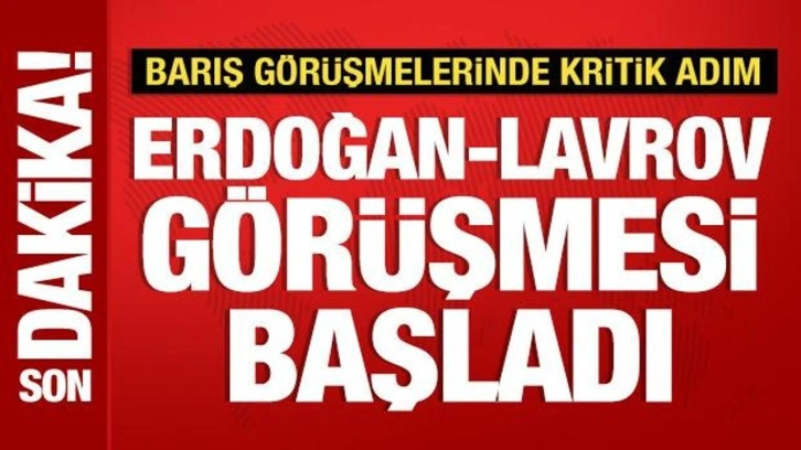 Cumhurbaşkanı Erdoğan, Lavrov ile görüştü