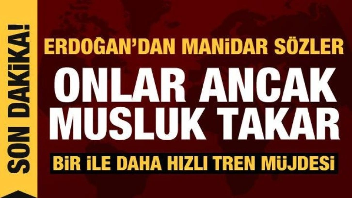 Cumhurbaşkanı Erdoğan'dan CHP'ye manidar eleştiri: Ancak musluk takarlar