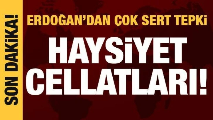 Cumhurbaşkanı Erdoğan'dan sert tepki: Haysiyet cellatları!