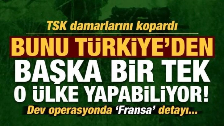 Damarlarını kopardık: Türkiye'den başka bir tek ABD yapabiliyor, operasyonda Fransa detayı