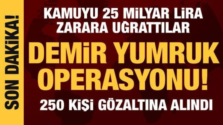 Demir Yumruk operasyonu: 250 şüpheli gözaltına alındı