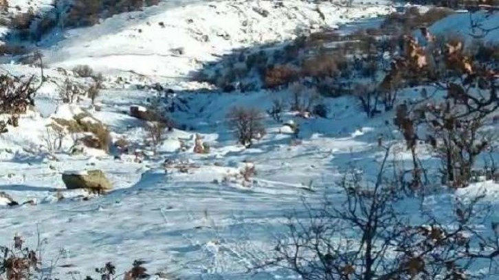 Depremde yaban keçilerinden sıra dışı hareketler