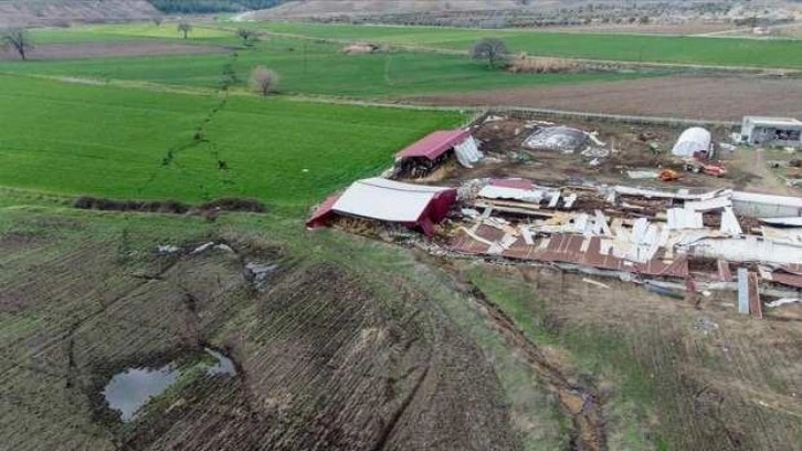 Depremin tarım sektörüne zararı belli oldu