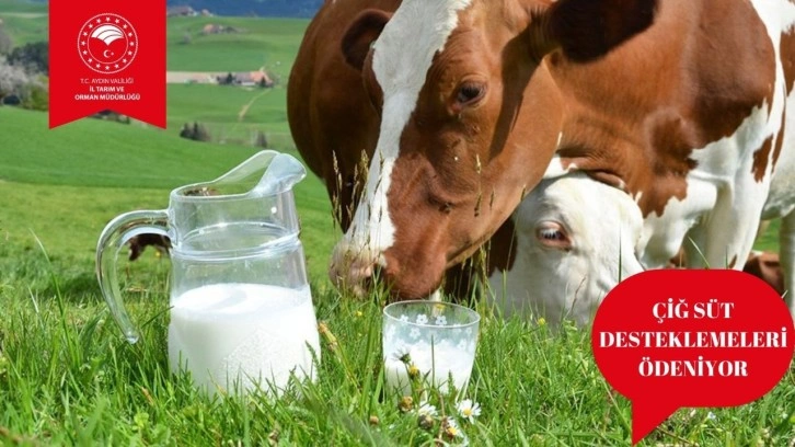 Destek ödemeleri başladı. Tarım ve Orman Müdürlüğü duyurdu. Çiğ süt ödemeleri ne zaman yapılacak?