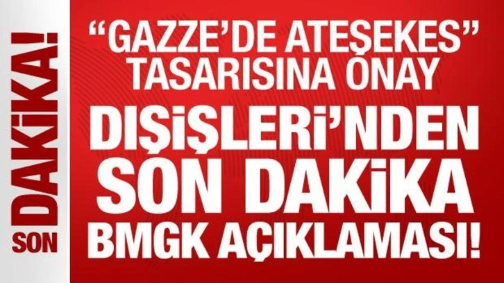 Dışişleri'nden son dakika BMGK açıklaması!