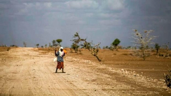 Doğu Afrika’da kuraklık 36,1 milyon kişiyi etkiledi