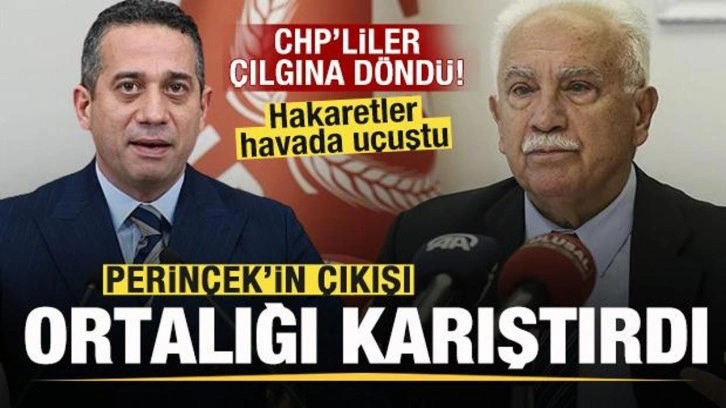 Doğu Perinçek'in sözleri CHP'lileri kızdırdı! Hakaretler havada uçuştu