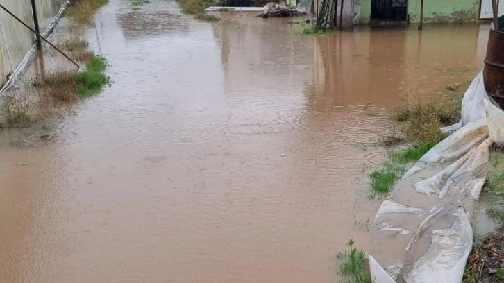 Düzce ve Yalova'da dere taştı! Zonguldak'ta heyelan meydana geldi: 2 kayıp