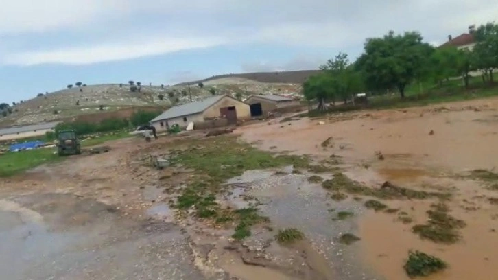 Elazığ'da korkunç olay: 200 küçükbaş hayvan öldü