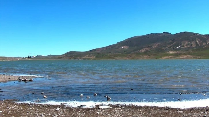 Erciyes Dağı'ndaki Tekir'den kötü haber