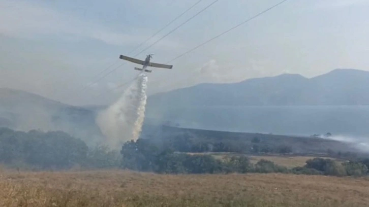 Erdek'te 100 dönüm alan yangında zarar gördü