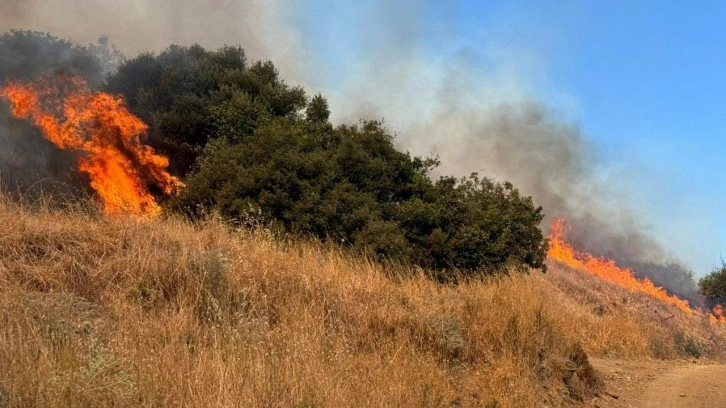 Erdek'te orman yangını