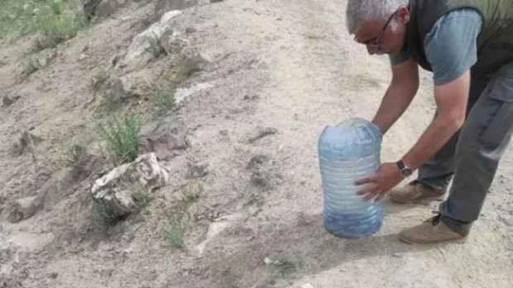 Evde bulundu! Türkiye'nin en ölümcül zehirli yılanı