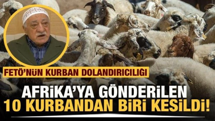 FETÖ Afrika'ya gönderilen 10 kurbandan birini kesti!