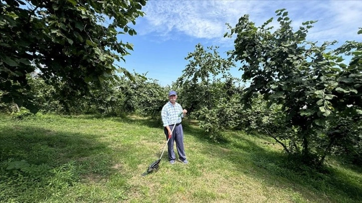 Fındık üreticisi, harmana yerden ısıtma sistemi kurmak için kolları sıvadı