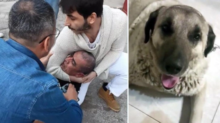 Fırına götürdüğü köpeğe cinsel saldırıda bulundu! İfadesi de olay kadar skandal