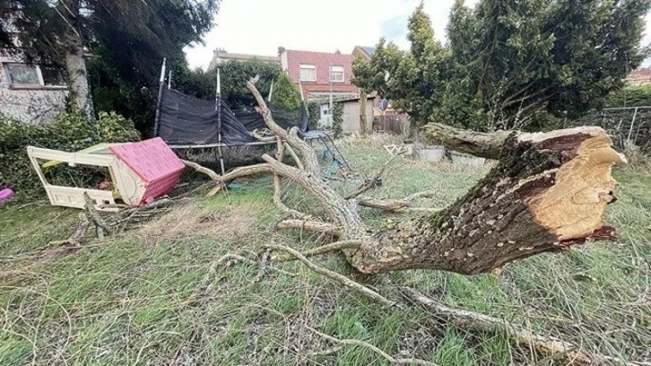 Fırtınada üstüne ağaç düşen 2 aylık bebek hayatını kaybetti