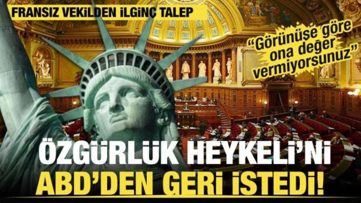 Fransız vekilden ilginç talep! ABD'den Özgürlük Heykeli'ni geri istedi