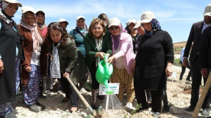 Gaziantep Büyükşehir Belediyesi çiftçiye tıbbi ve aromatik bitkiler ormanı kurdu