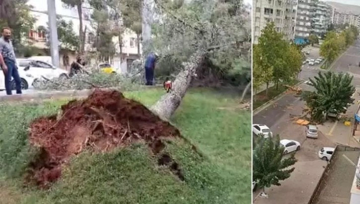 Gaziantep'te şiddetli rüzgar nedeniyle çatılar uçtu, ağaçlar kökünden söküldü