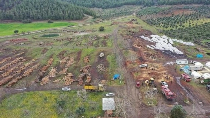 Gaziantep'te depremzedelere yakacak odun dağıtıldı