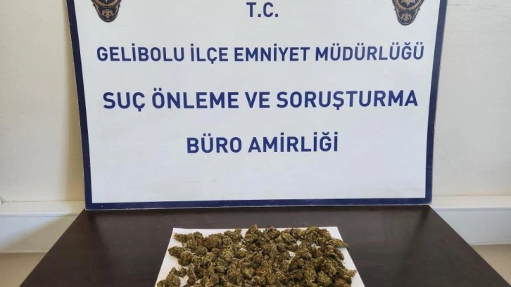 Gelibolu’da sırt çantasından 90 gram skunk çıktı: 2 gözaltı