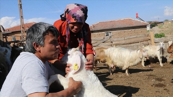 Görme engelli çift, zorlu hayatlarını birbirlerine destek olarak kolaylaştırıyor