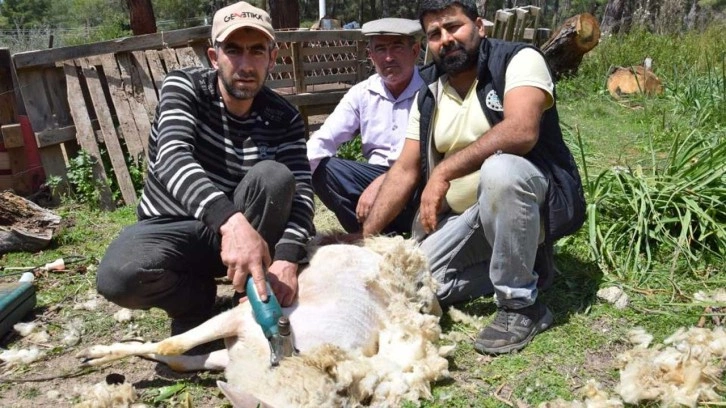 Günlük 2 bin TL kazanıyor talebe yetişemediği zaman yeğenini çağırıyor