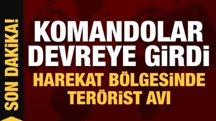 Harekat bölgesinde terörist avı! Komandolar devreye girdi