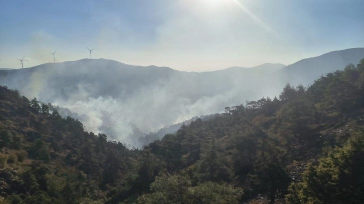 Hatay'da orman yangını! Müdahale sürüyor