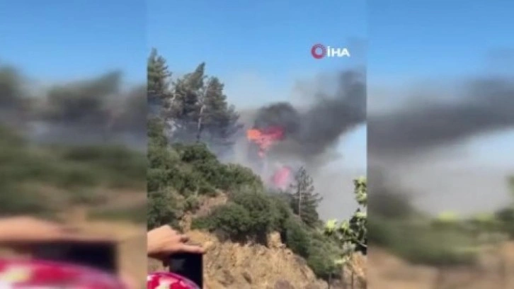 Hatay'da orman yangını