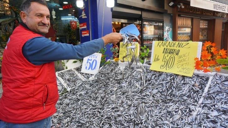 Havaların soğumasıyla hamsi fiyatları düşüşe geçti