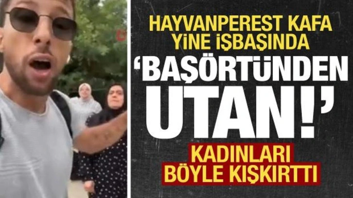 Hayvanperest kafa iş başında! Kadınları kışkırtıp 'türbanından utan' diyerek aşağıladı