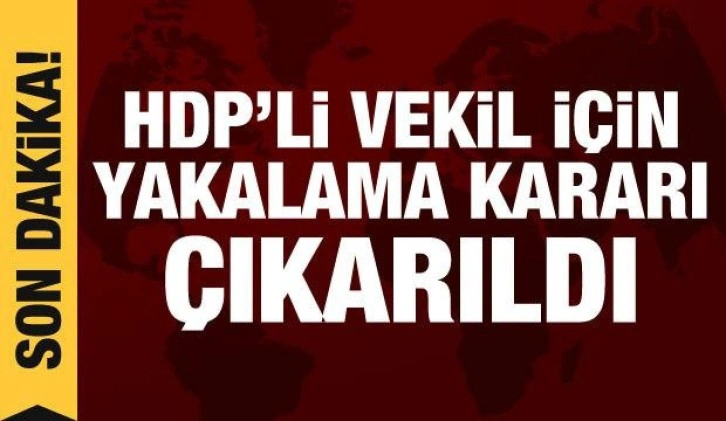 HDP'li Semra Güzel hakkında yakalama kararı çıkarıldı