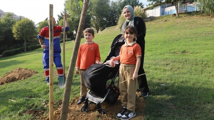 Her bebek bir ağaçla büyüyor: Kağıthane'de yeşil gelecek