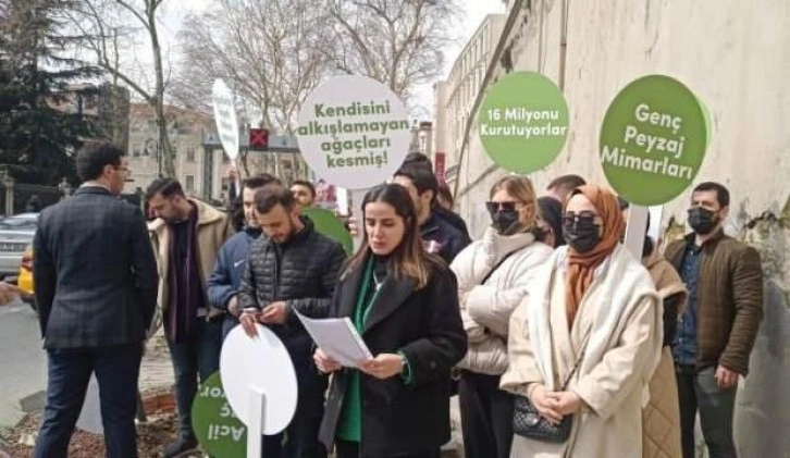 İBB Başkanı İmamoğlu'na ağaç katliamı tepkisi: Yerine reklam panoları mı kuracaksınız?