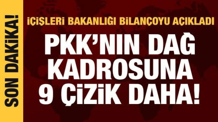 İçişleri Bakanlığı: PKK'nın dağ kadrosuna 9 çizik attık