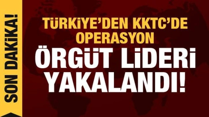 İçişleri Soylu duyurdu: 3 il ve KKTC'de operasyon! Çete çökertildi, örgüt lideri yakalandı