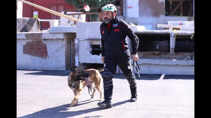 İHH arama kurtarma köpeği ve eğitmeni 122 ekip arasında birinci oldu