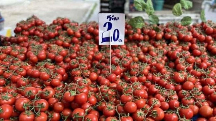 İhracat kısıtlaması getirilen domatesin fiyatı yüzde 40 düştü