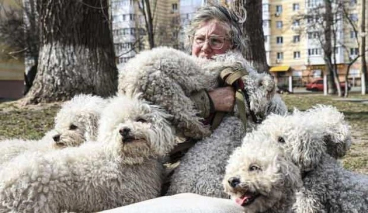 İrpin'den tahliye edilen Ukraynalı kadın 24 köpeği de Kiev'e getirdi