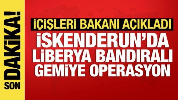 İskenderun'da Liberya bandıralı gemiye operasyon: 26 gözaltı