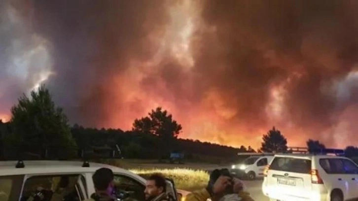 İspanya'da aşırı sıcaklar nedeniyle 30'dan farklı yerde orman yangını çıktı