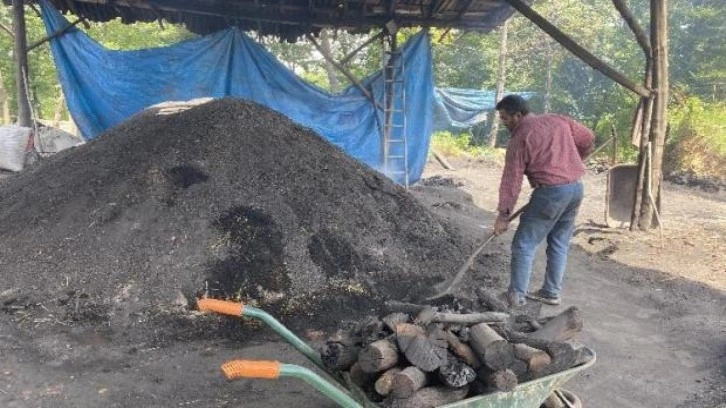 İstanbul’un mangal kömür ihtiyacı Şile’den karşılanıyor