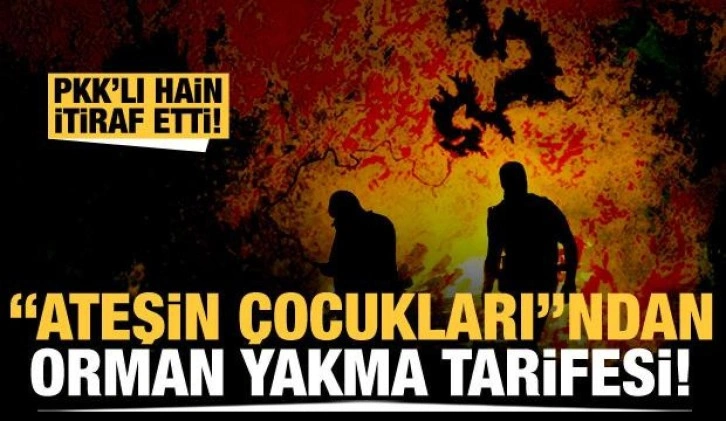 İtiraf etti: PKK'lı terörist ormanları 10 bin lira için ateşe vermiş!