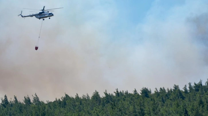 İzmir'de orman yangını: Canhıraş mücadele sürüyor
