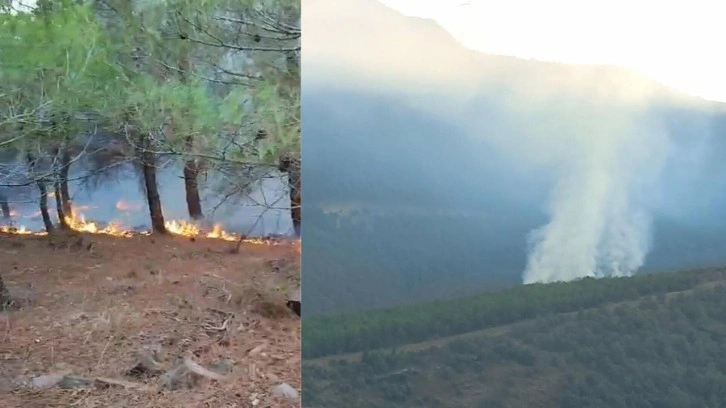 İzmir'de düşen yıldırım, ormanı yaktı