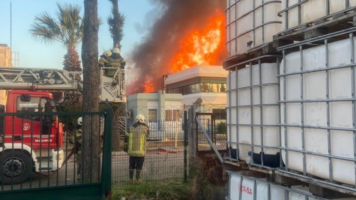 İzmir'deki parfüm fabrikasındaki yangında ölü sayısı arttı! 2 kişi gözaltına alındı