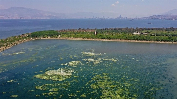 İzmir'den kötü kokular gelmeye başladı! Felaket yaşanabilir